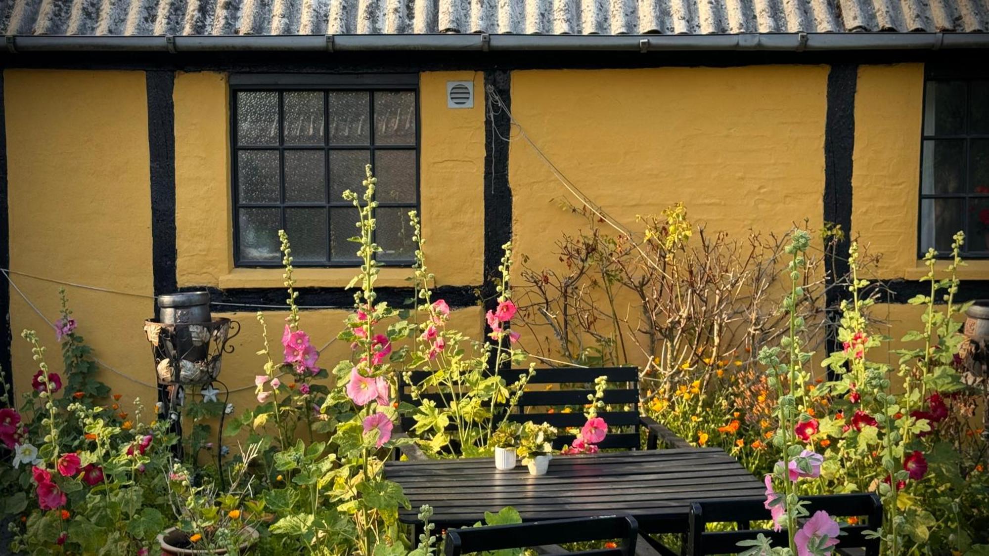 Dyrlev Bed & Breakfast Præstø Exterior foto